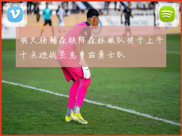 明天杨瀚森缺阵森林狼队将于上午十点迎战圣克鲁兹勇士队