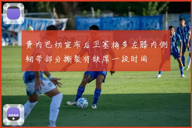 费内巴切宣布后卫塞梅多左膝内侧韧带部分撕裂将缺席一段时间